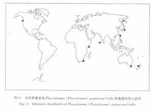 分布圖:日本革囊星蟲