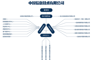 中國信息技術有限公司