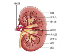 肝性血卟啉病綜合徵