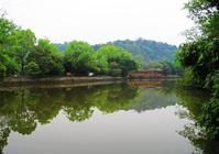 良鳳江森林公園