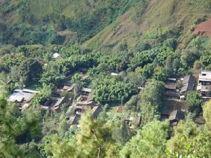 鄭家村自然村[雲南省昆明東川區銅都鎮鄭家村自然村]