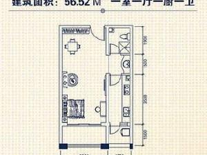 戶型圖