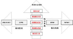 發展型組織