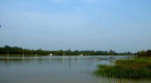 黃河故道鳥類濕地國家自然保護區