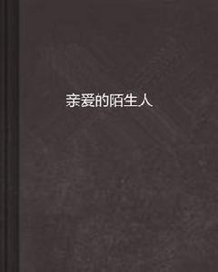 親愛的陌生人[唐瑄創作小說]