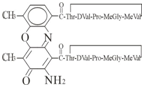 放線菌素S3分子式：C62H86N12O16  分子量：1255.44