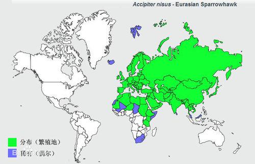 雀鷹分布圖