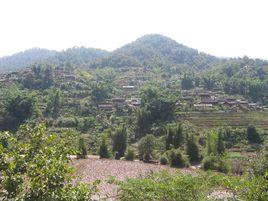 山後自然村[雲南文山馬關縣仁和鎮格灑村委會山後自然村]