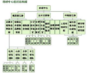 科研中心組織結構圖