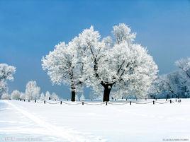 雪景[自然景象]