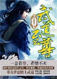 武道至尊[17k小說網作品]