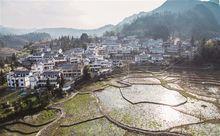 龍潭村[雲南省紅河開遠市大莊回族鄉龍潭村]