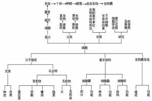 生物界組成