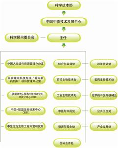 中心組織機構圖