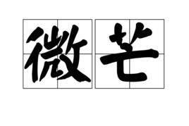 微芒[語言，詞語，字詞]