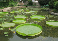 西安植物園