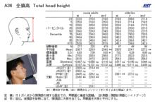 頭長和頭全高