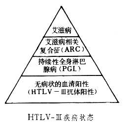 獲得性免疫缺陷綜合徵相關淋巴瘤