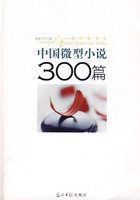中國微型小說300篇