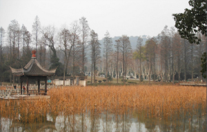 東湖風景區