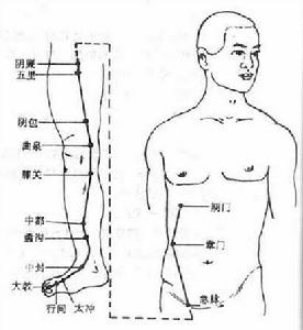 足厥陰經筋