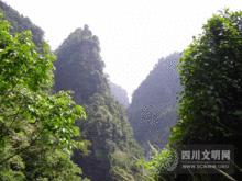 龍抱山