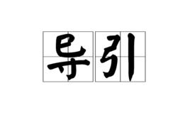 導引[詞語]