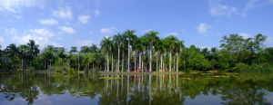 西雙版納植物園