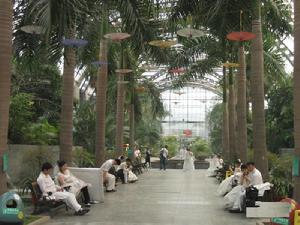 天津熱帶植物園