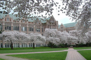 華盛頓大學校園