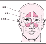 鼻前庭炎
