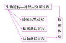 情緒激活和調節的多系統模型