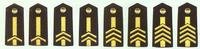 解放軍海軍專業軍士肩章(1993～1999)