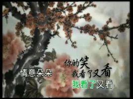 雙飛[《神鵰俠侶》原聲帶]