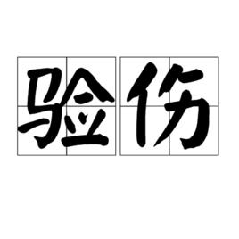 驗傷[漢語詞語]