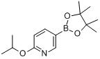 6-異丙氧基吡啶-3-硼酸頻哪醇酯