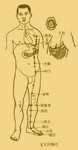 足太陰經脈