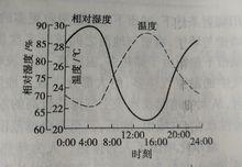 圖3   相對濕度的日變化