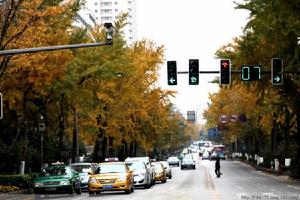 北京西路東段街景