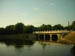 公園景色2