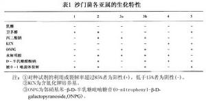 其他沙門菌感染