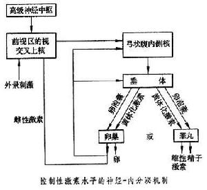 行星齒輪傳動