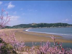 普陀山錦屏旅行社