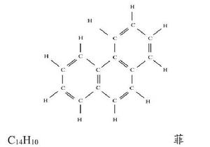 有機分子