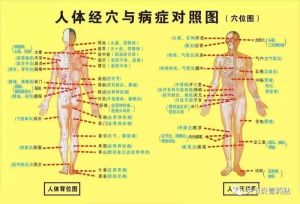 膏穴療法——經絡圖