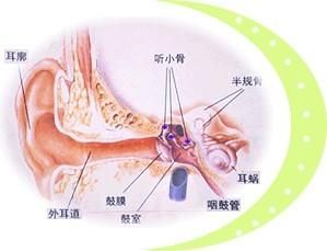 傳導性耳鳴