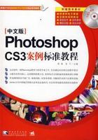 Photoshopcs3案例標準教程