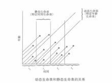 動態生命表和靜態生命表的關係