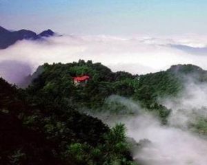 輝山[安徽省渦陽縣輝山村]