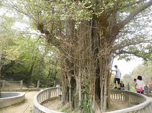 熊山古寺